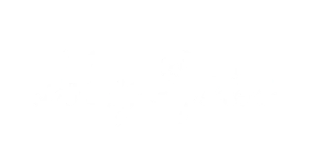 HeySpin Logo